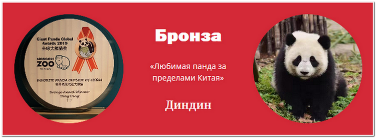 Где панды в московском зоопарке. Карта Московского зоопарка панды. Москва зоопарк панды на схеме. Где Панда в Московском зоопарке. Схема Московского зоопарка панды.