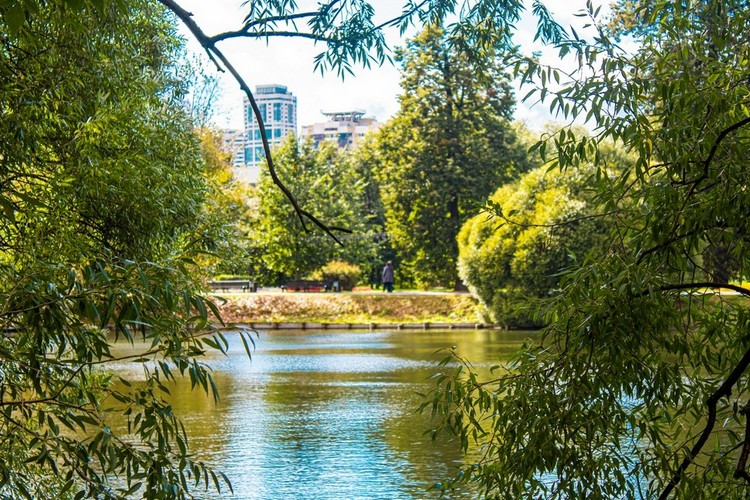 парк где можно покормить белок. voronczovskij park. парк где можно покормить белок фото. парк где можно покормить белок-voronczovskij park. картинка парк где можно покормить белок. картинка voronczovskij park. Прелестная особенность некоторых московских парков – в них живут веселые игривые белки. В отличие от лесных собратьев, пушистые грызуны-горожане обычно не прячутся от людей. Можно вблизи наблюдать за повадками умных непоседливых зверьков, любоваться их природной грацией, ловкостью, красотой зимних и летних шубок. Зверьки не откажутся от угощений, а самые смелые просто заберут лакомства из рук. Личное знакомство с милыми лесными жителями доставляет огромное удовольствие детям и взрослым.