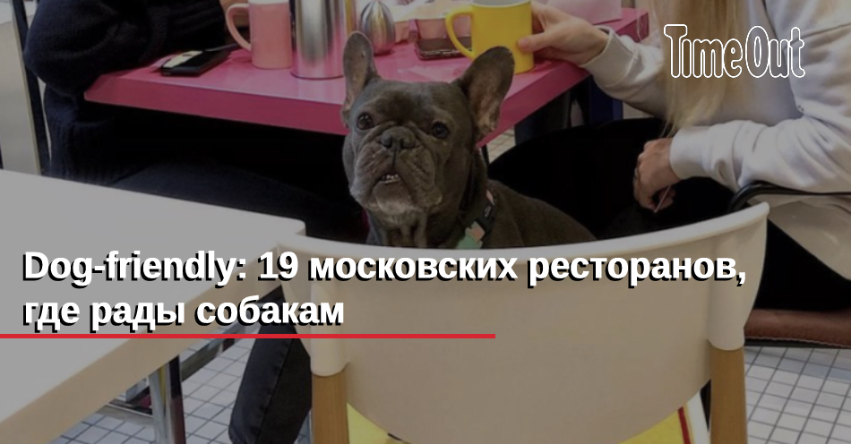 Дог френдли подмосковье. Хот дог бульдог Охта Молл. Дог френдли маникюр. Дог френдли синоним. Стала ли Пятерочка дог френдли?