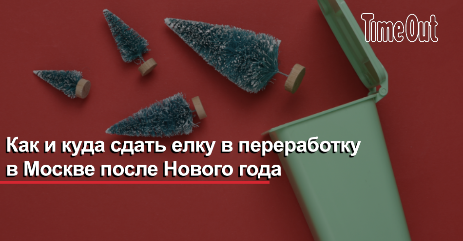 елка, сосна, елка новогодняя. куда сдать елку после нового года 2024. переработанные елки. сдать елку. куда сдать елку после нового года 2024.