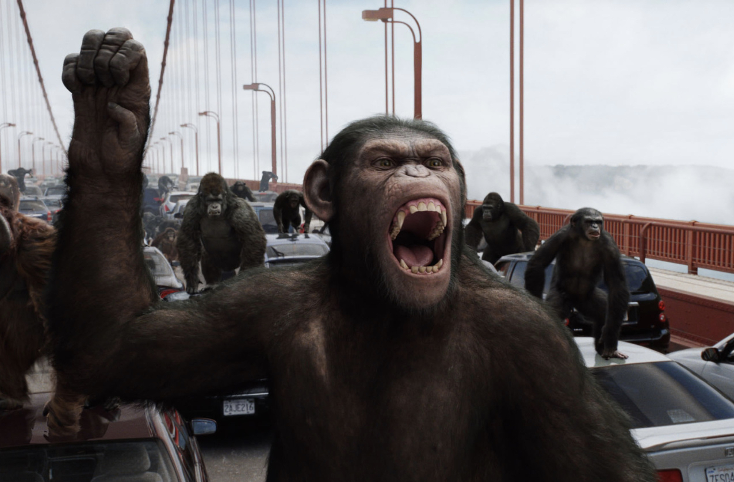 Нашествие обезьян. Восстание планеты обезьян 2011.