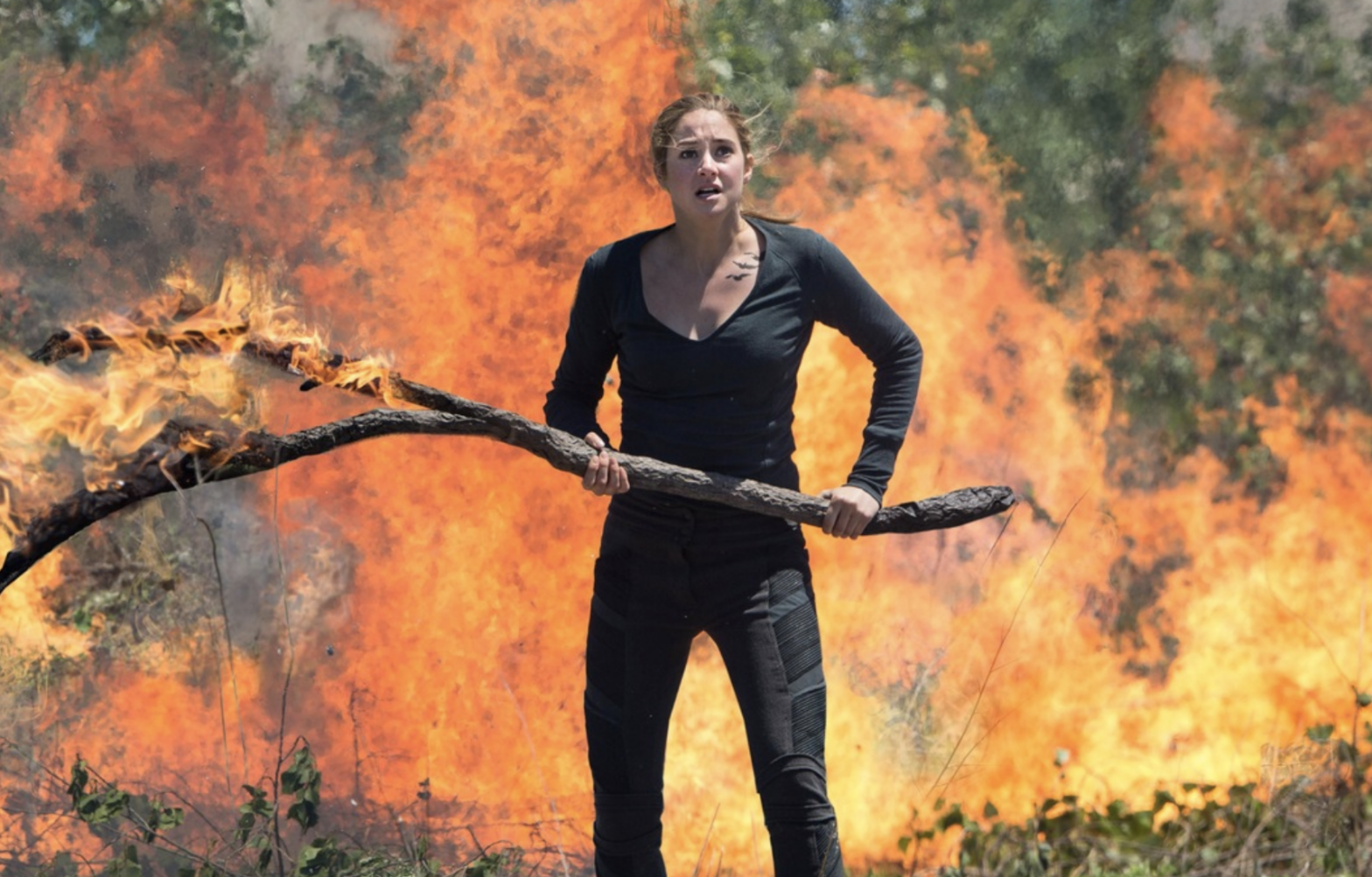 Ты не дивергент, Гарри: 12 провальных подростковых блокбастеров, загубивших целые серии