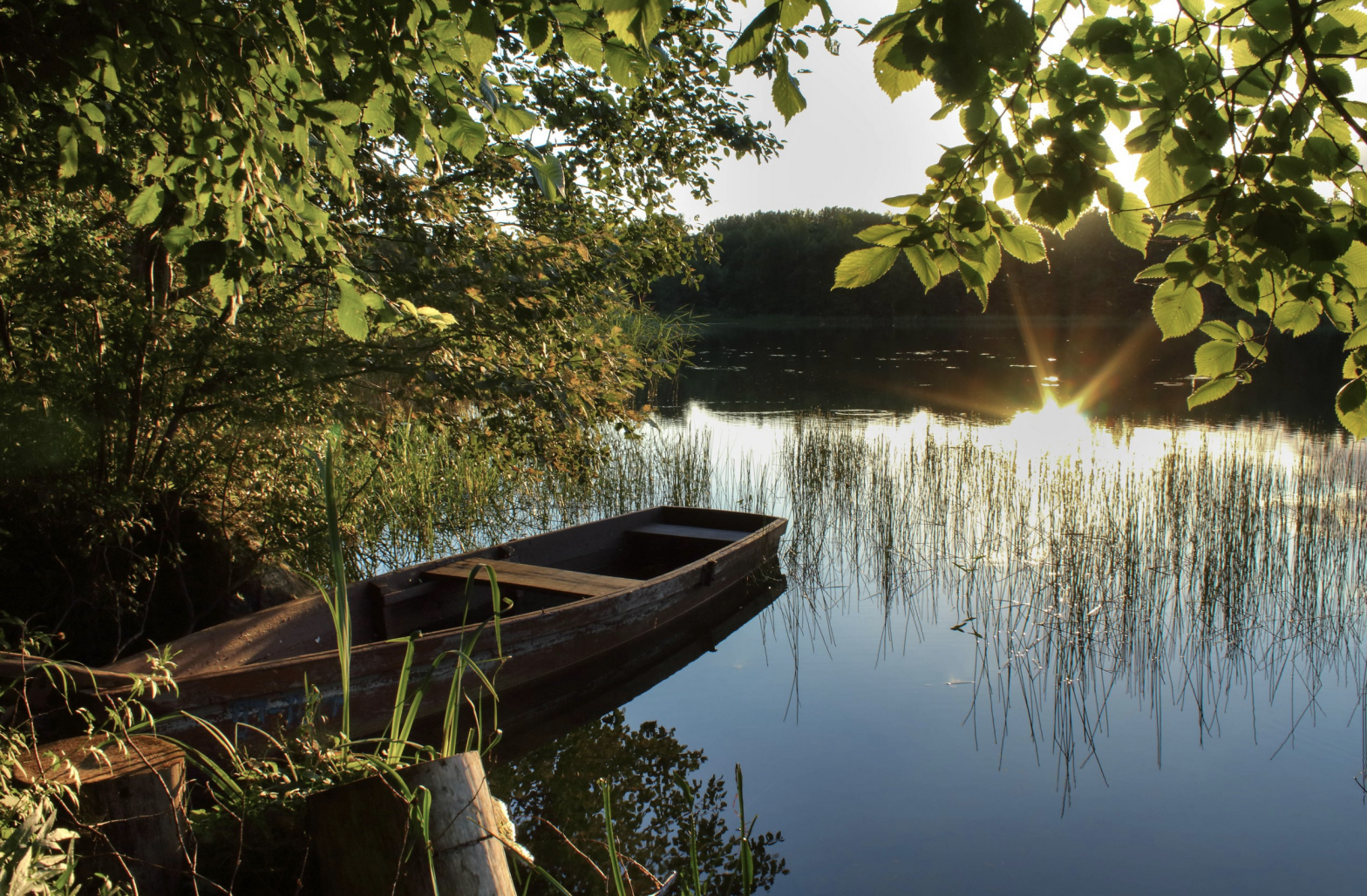 Явление природы. 5 заповедников и национальных парков, где можно отдохнуть от жары и мегаполиса