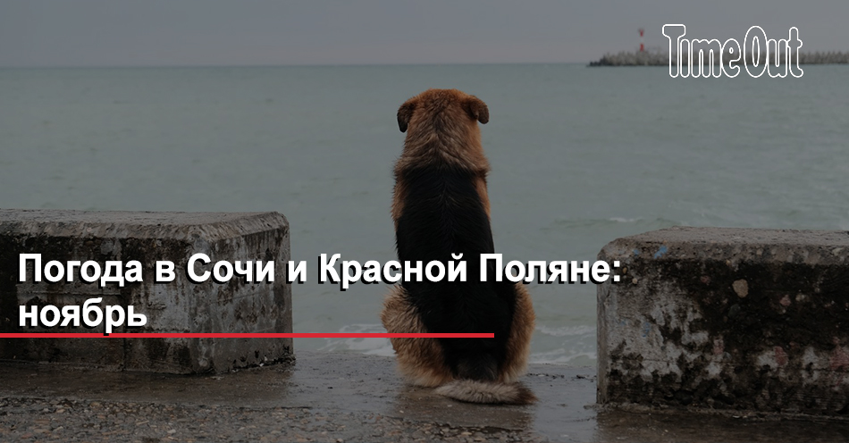 Погода в красной поляне. Погода в поляне в ноябре. Погода в поляне в ноябре. Красная поляна сочи в ноябре. Погода в поляне в ноябре.