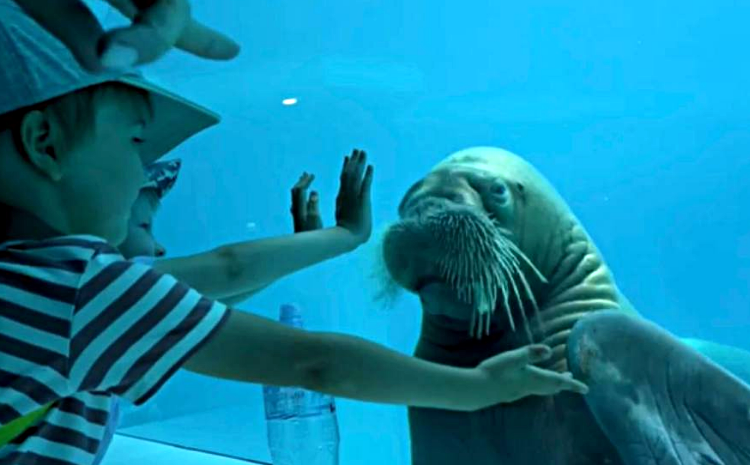 В Московском зоопарке поменяется режим работы внутренней галереи