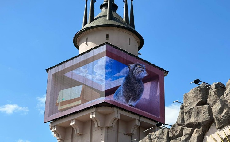 В Московском зоопарке показали 3D-манула