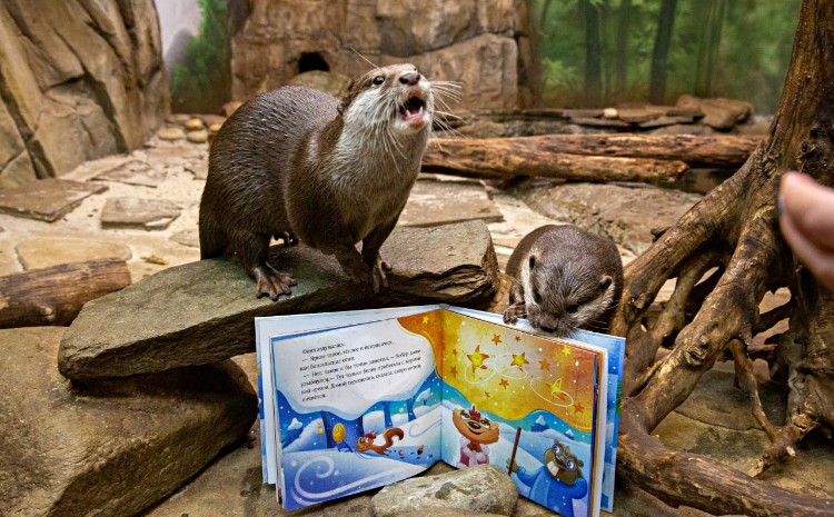 Детское издательство «Ламинария» объявило об официальном запуске