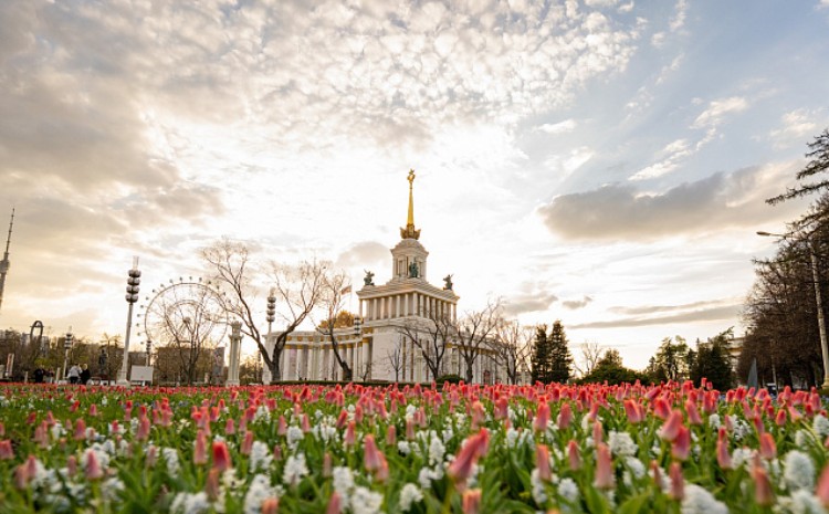 На ВДНХ рассказали больше о «Лучшем прогулочном пространстве Москвы»