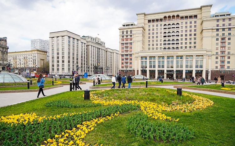 В Москве высадили 4,6 миллиона саженцев виолы