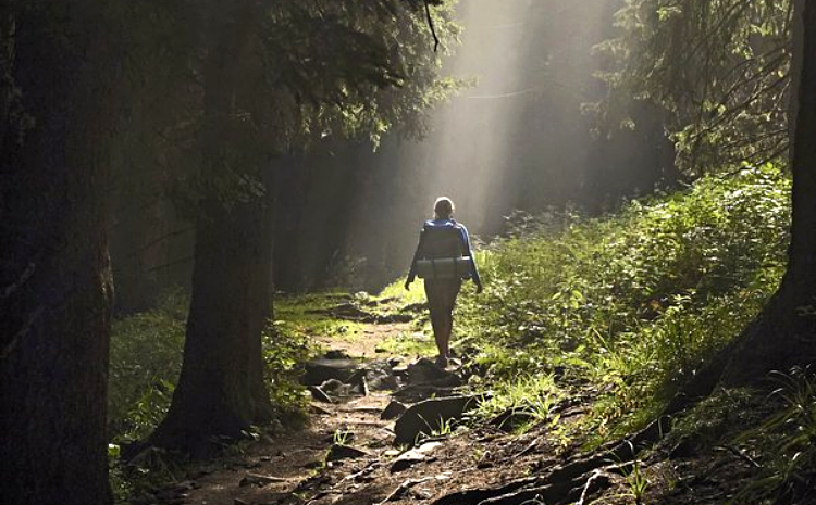 В Москве открылась линия по профилактике клещевого энцефалита