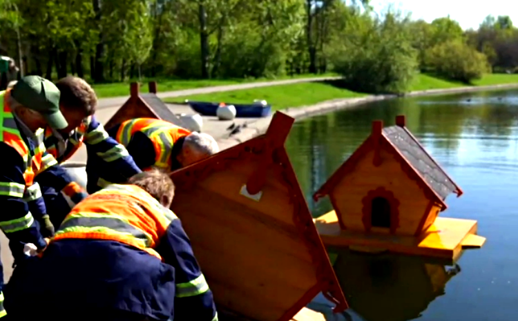 На столичных прудах установили плавучие домики для уток