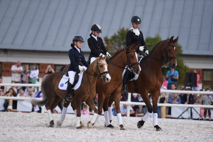 ВДНХ приглашает горожан на VII Фестиваль конного искусства и спорта