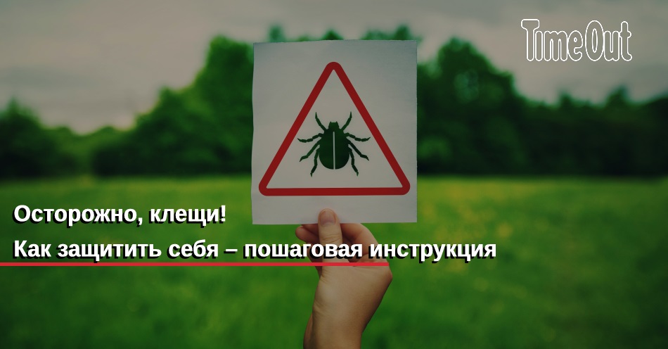Осторожно, клещи! Как защитить себя – пошаговая инструкция | Здоровье ...