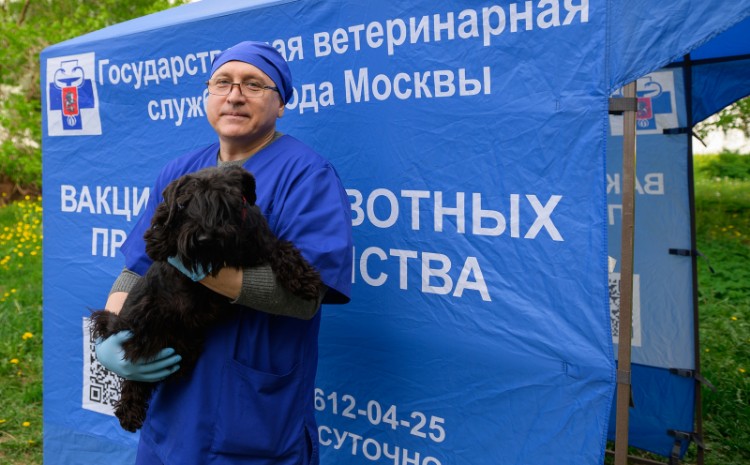 В Москве начнут работу пункты бесплатной вакцинации для собак