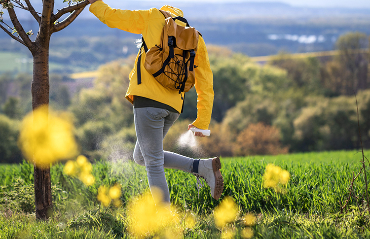 Лето без укусов: 10 эффективных средств от комаров и клещей
