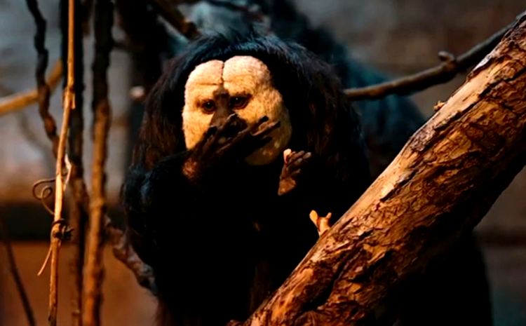 В Московском зоопарке рассказали о бледноголовом саки