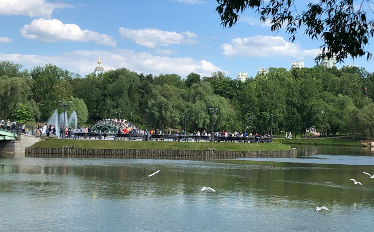 «Яндекс Карты» начали показывать маршруты водного транспорта в Москве