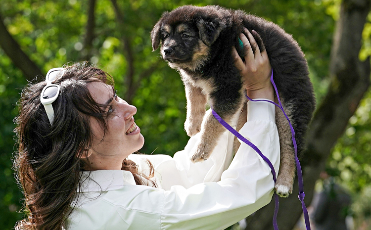 На ВДНХ пройдут выставки животных из приютов