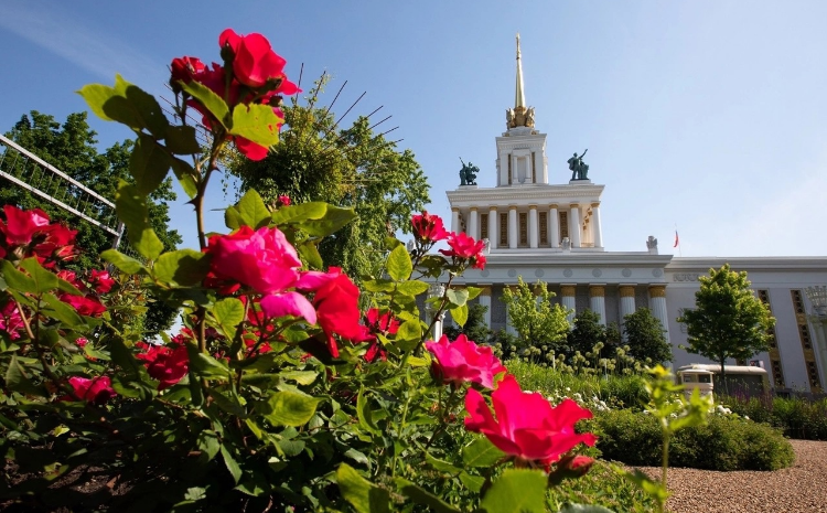 На ВДНХ распустились розы
