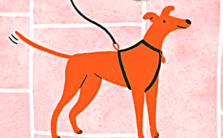 Фонд «Ника» запустил подкаст о дог-френдли культуре