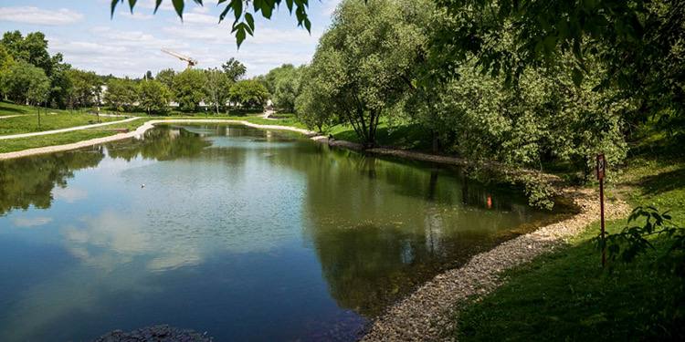 В Аршиновском парке очистили Верхний и Нижний Бехтеревские пруды