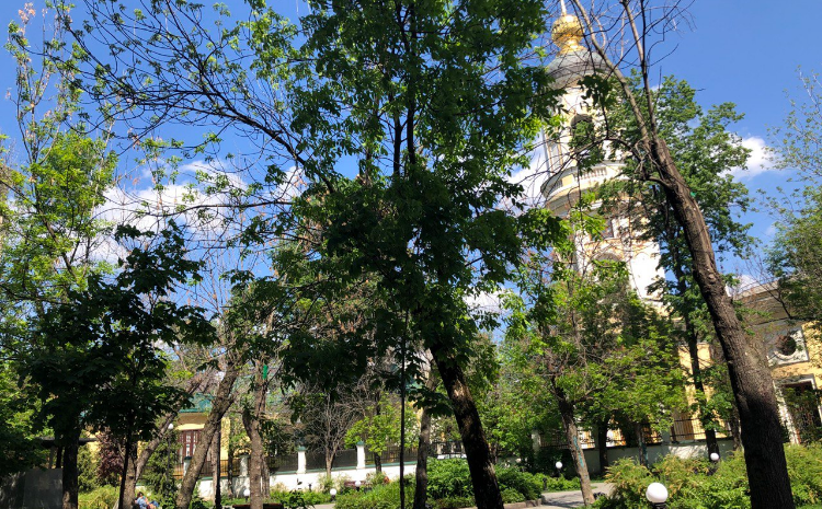 Парки и Московский зоопарк открылись для посещения