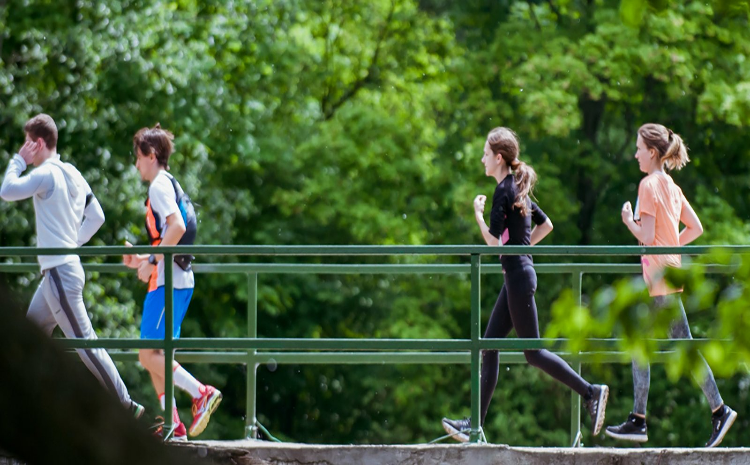 На ВДНХ открывается проект «Пять верст»