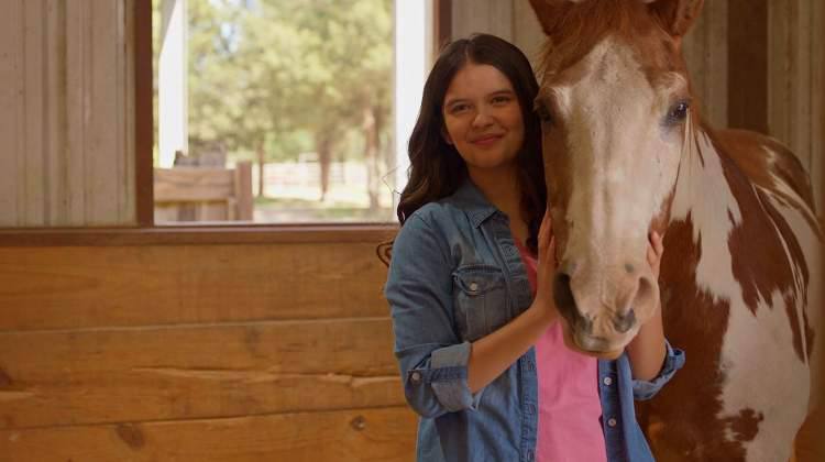 Скоро в кинотеатрах можно будет увидеть новый семейный фильм «Лошадь Чарли»
