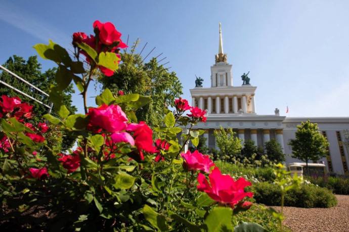 ВДНХ приглашает посмотреть хорошее кино на большом экране бесплатно