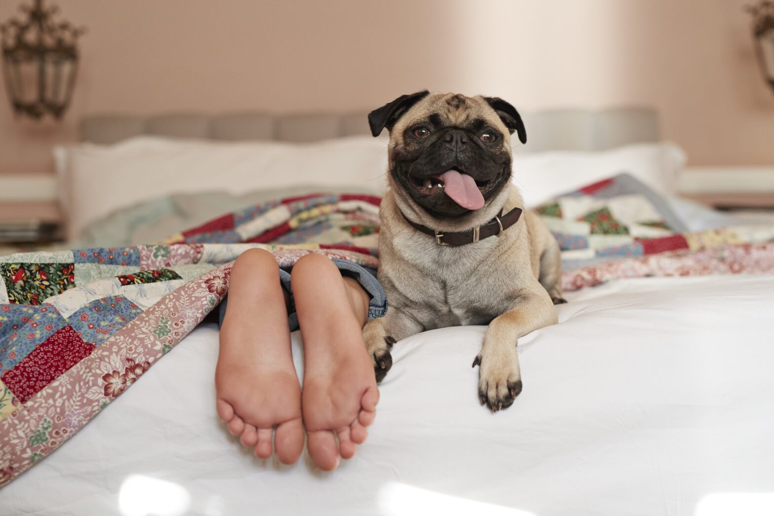 В обнимку с домашним любимцем