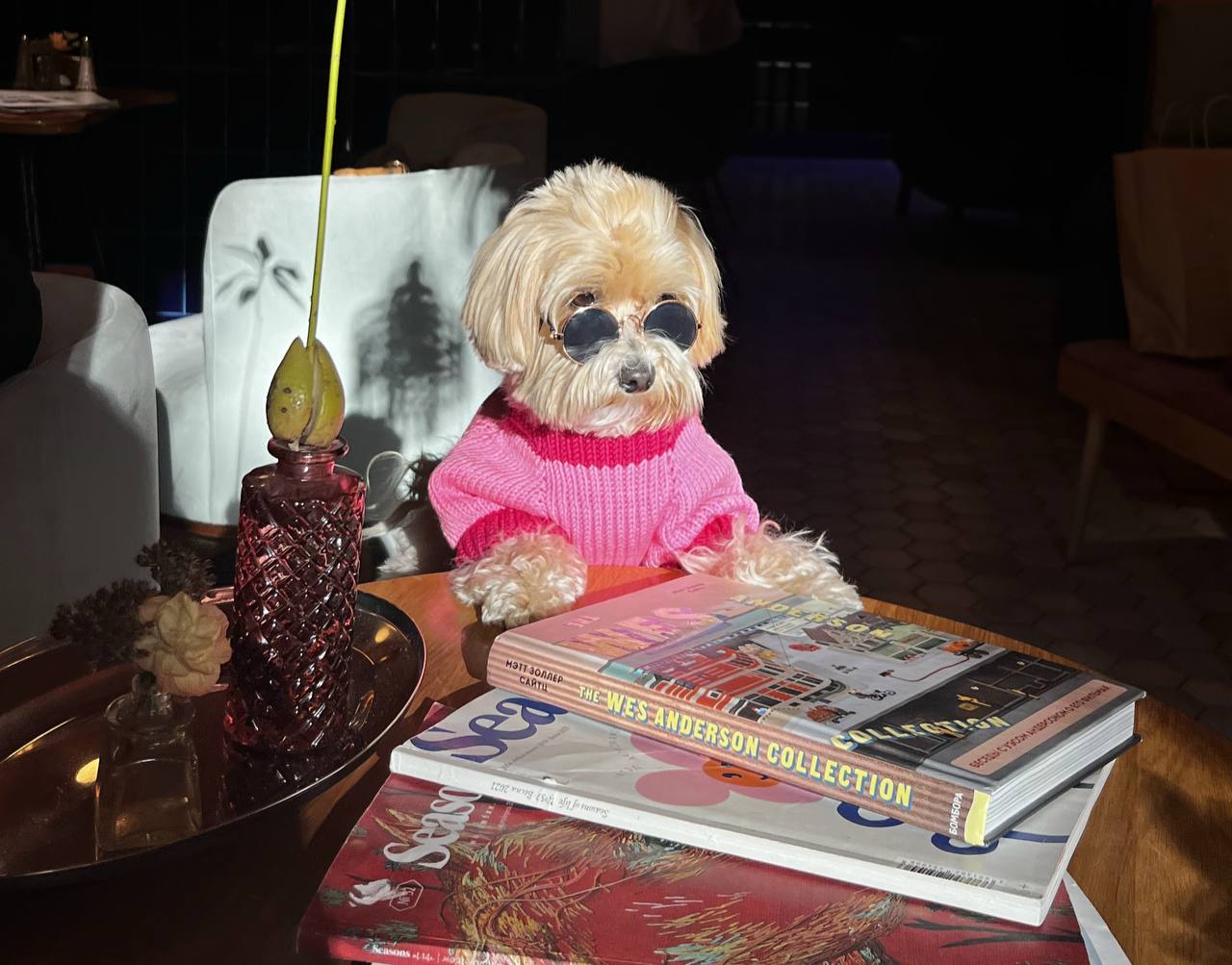 10 мест, где накормят вас и вашего песика