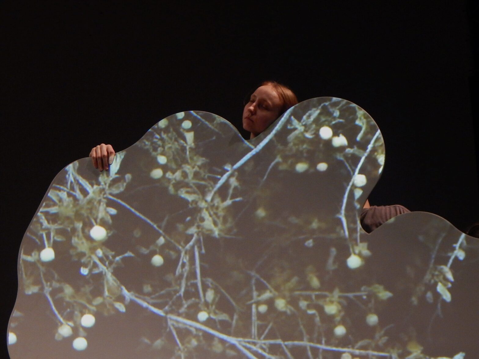 Грани современного танца