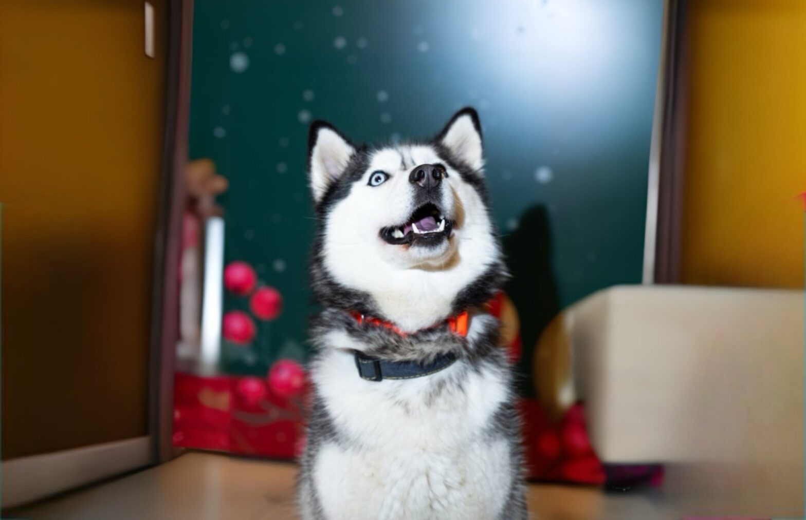 На Усачевском пройдет pet-вечеринка