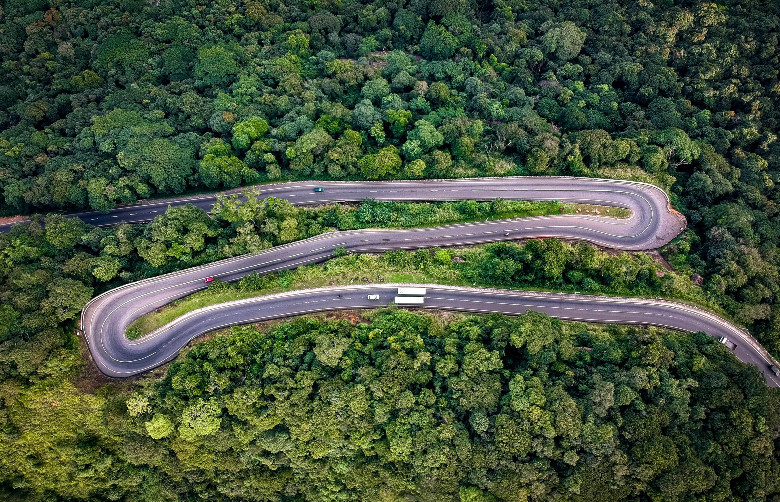 Mo view. Дорога в лесу сверху. Дорога с дрона. Парк дорога лес вид сверху Африка. Аэрофотосъемка пути.