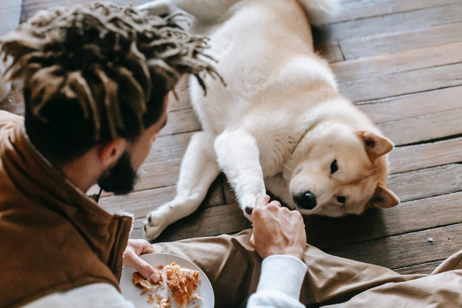 Dog-friendly бары, кофейни и рестораны проведут благотворительную акцию «Собаки в большом городе»