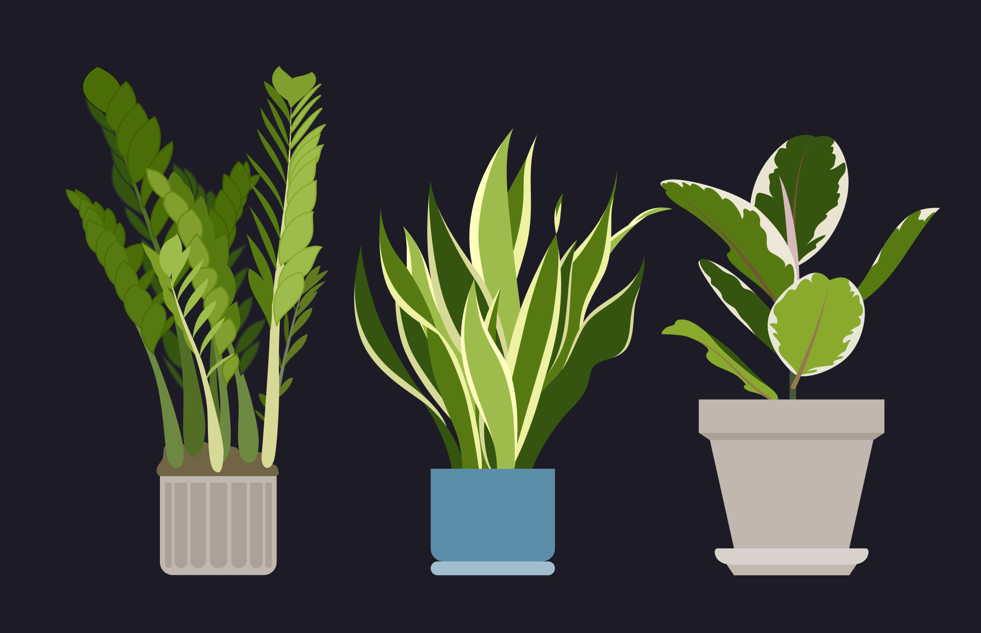 Растения в интерьере: как выбирать и ухаживать | Город | Time Out