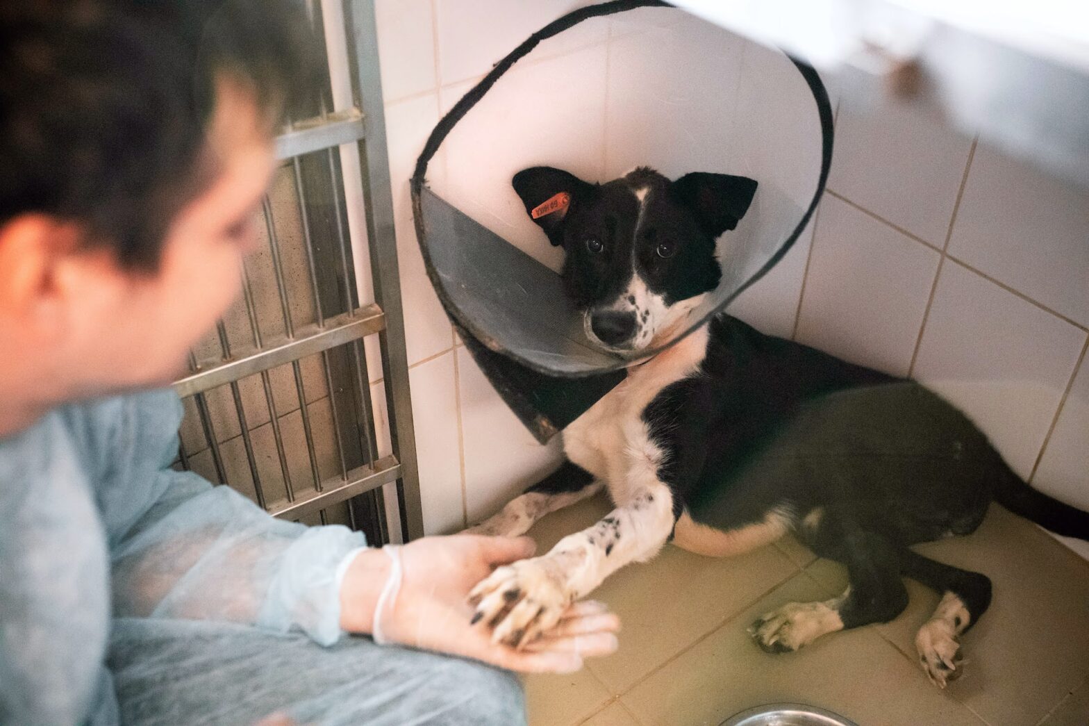 инициативный человек. инициатива. инициативность это в психологии. поддержка частной инициативы. инициативность это простыми словами.