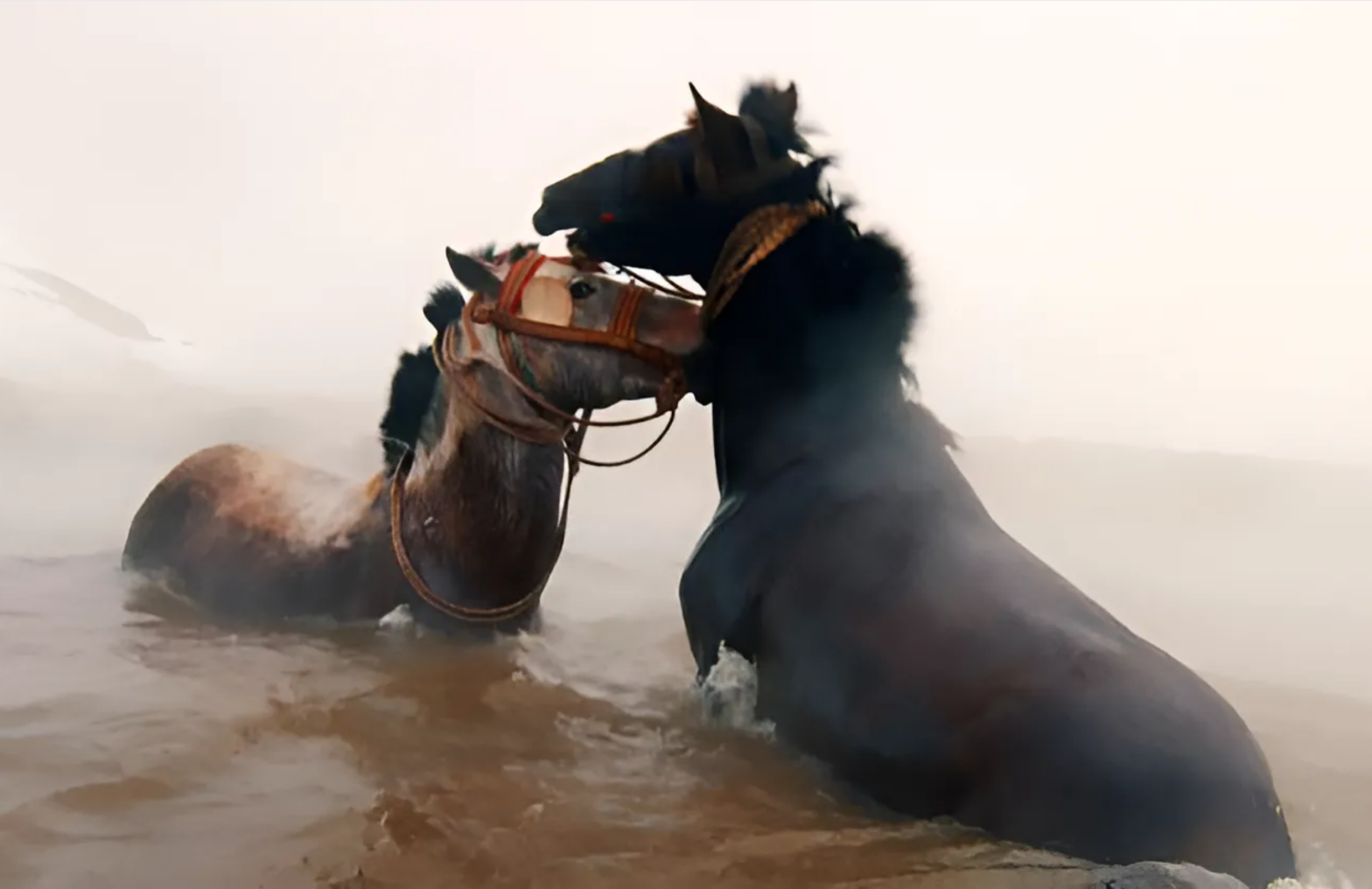 Дневник Московского международного кинофестиваля — день 5