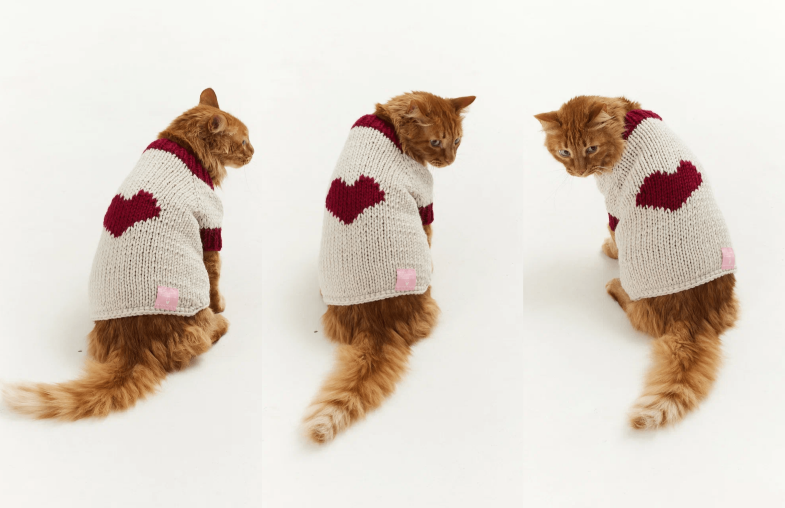 Murmurizm выпустил вязаные свитера для котов, собак и их хозяев