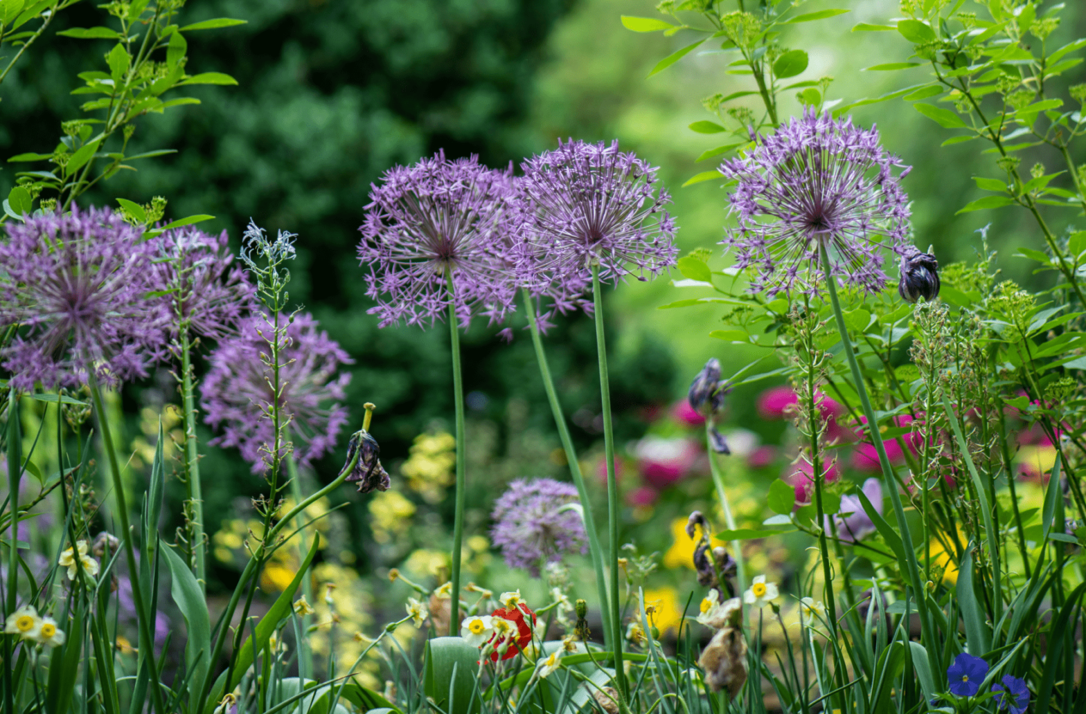 С 9 по 18 августа в парке Сокольники пройдет фестиваль ландшафтного искусства «Сады и люди»