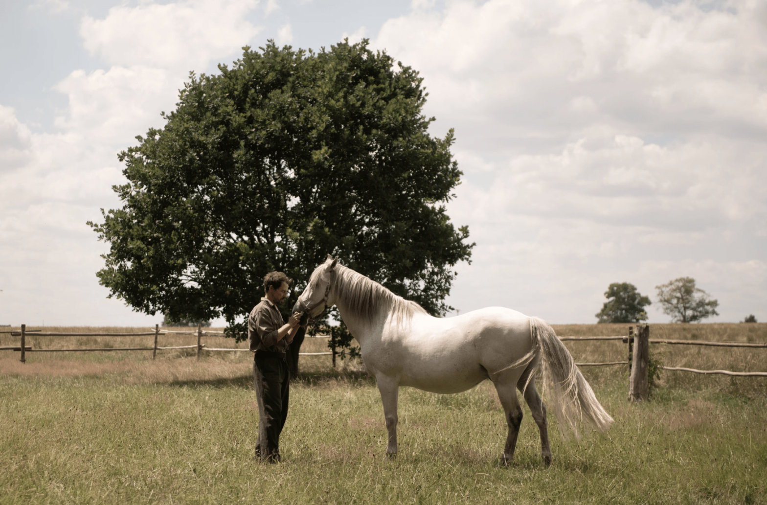 Куда сходить на неделе 19 — 25 августа: фестиваль «Сенокос», концерт-медитация «Сон в летнюю ночь» и спектакль «Петр I»