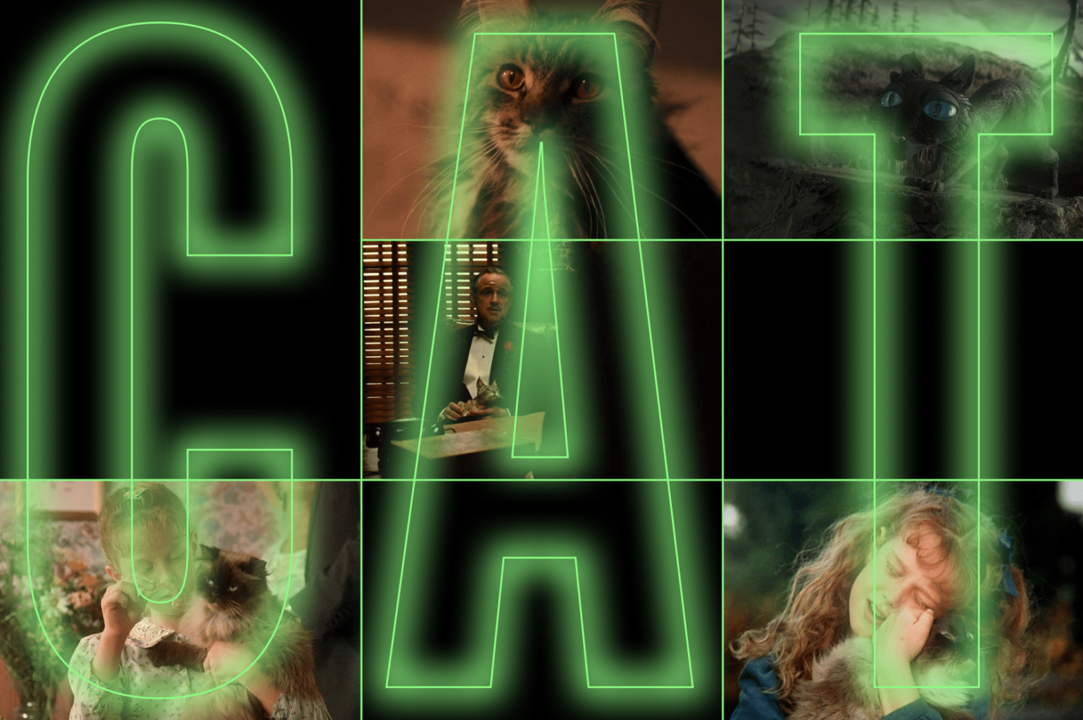 Преступники, друзья и проводники: какими бывают коты в кино