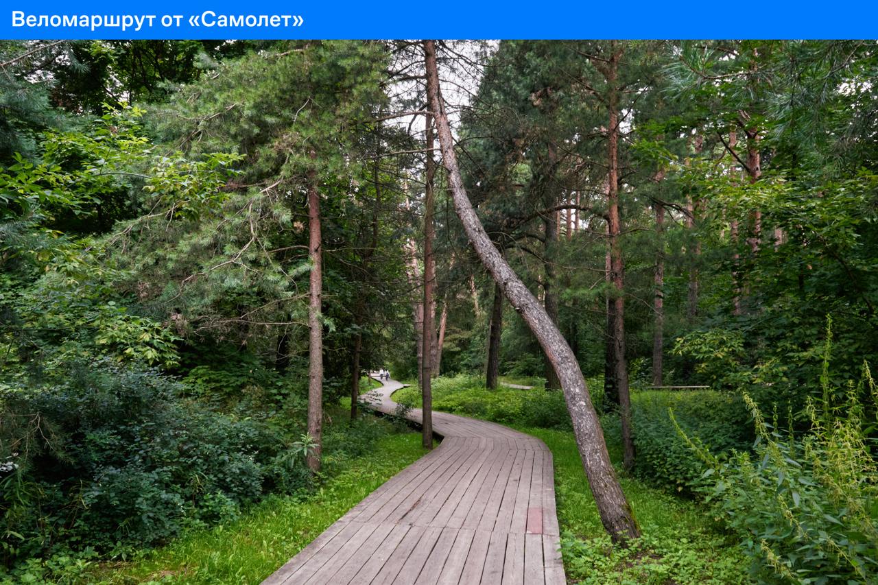 Серебряный Бор