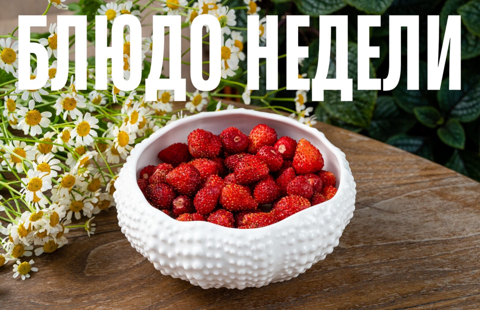 Блюдо недели: панакота с земляникой из «ERWIN.РекаМореОкеан» Блюдо недели: панакота с земляникой из «ERWIN.РекаМореОкеан»