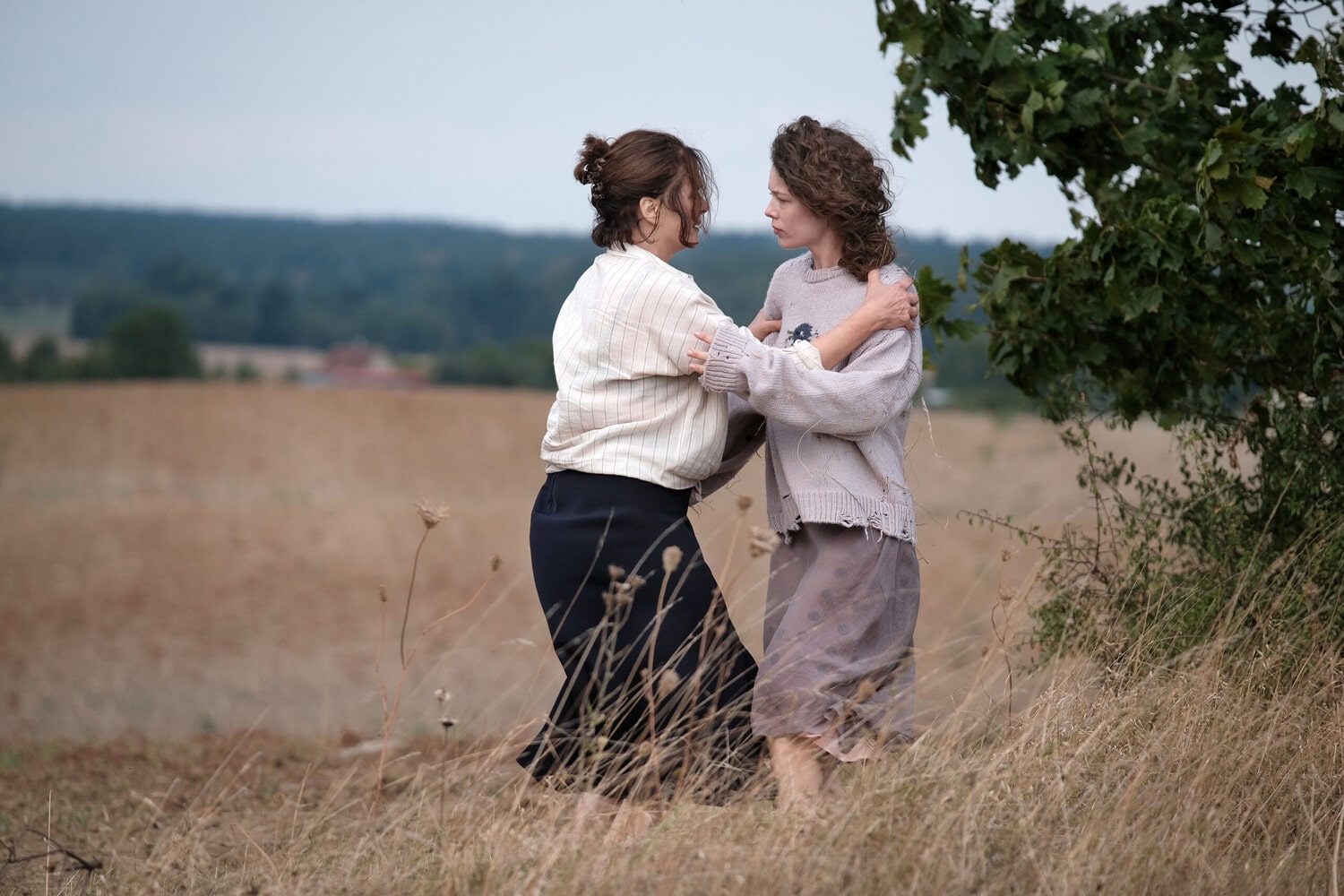 4 громких фильма фестиваля «Послание к человеку» 2025 года 4 громких фильма фестиваля «Послание к человеку» 2025 года