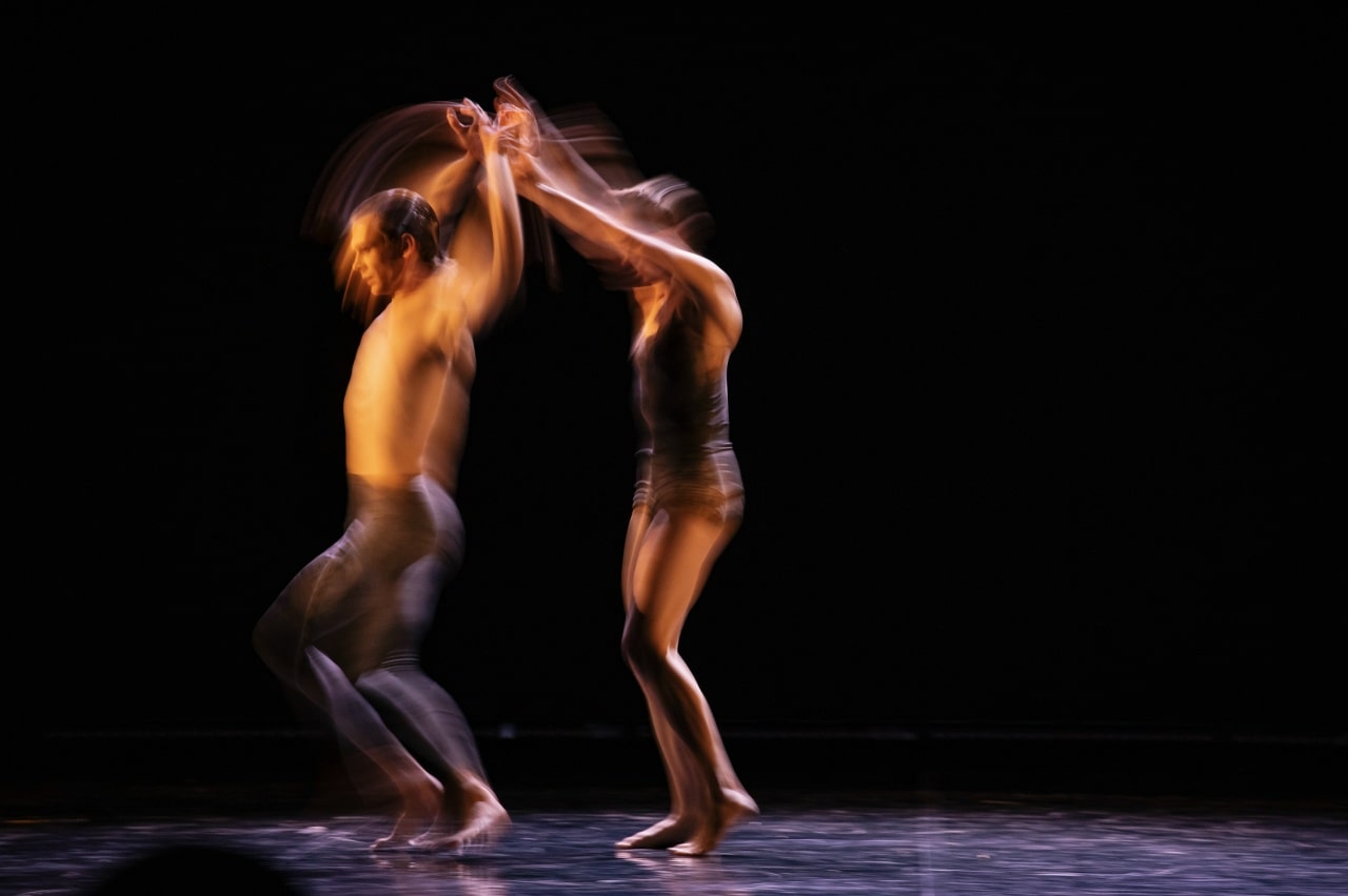 Куда сходить с 18 по 23 ноября в Петербурге: выставка «Деяния женщин», арт-бранч «Женщины дома Романовых» и фестиваль искусств «Дар»