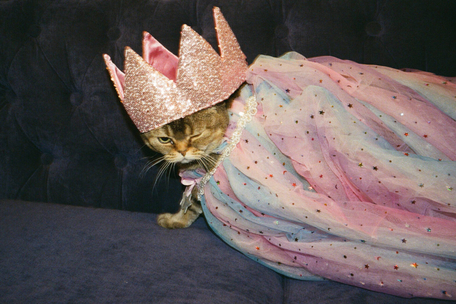 Куда сходить с 30 марта по 5 апреля: ярмарки современного искусства «Арт Россия» и «ВИН-ВИН», а также театральные премьеры «Корабль возвращается домой» и «Какой может быть поэзия»