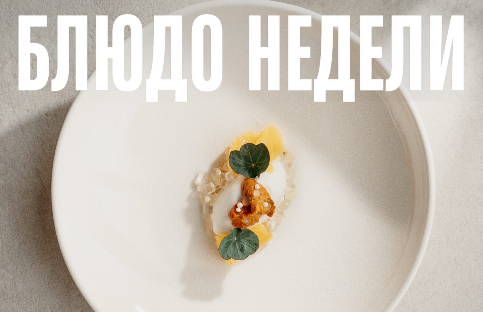 Блюдо недели: десерт с морским ежом из «ТЭМУ»