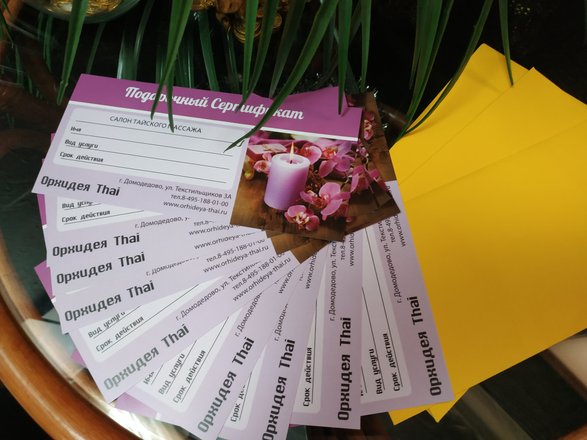 Фото тропических животных. Розовые цветы деревьев в тайланде. Орхидеи в тайланде. Орхидея тай домодедово. Орхидея тай домодедово.