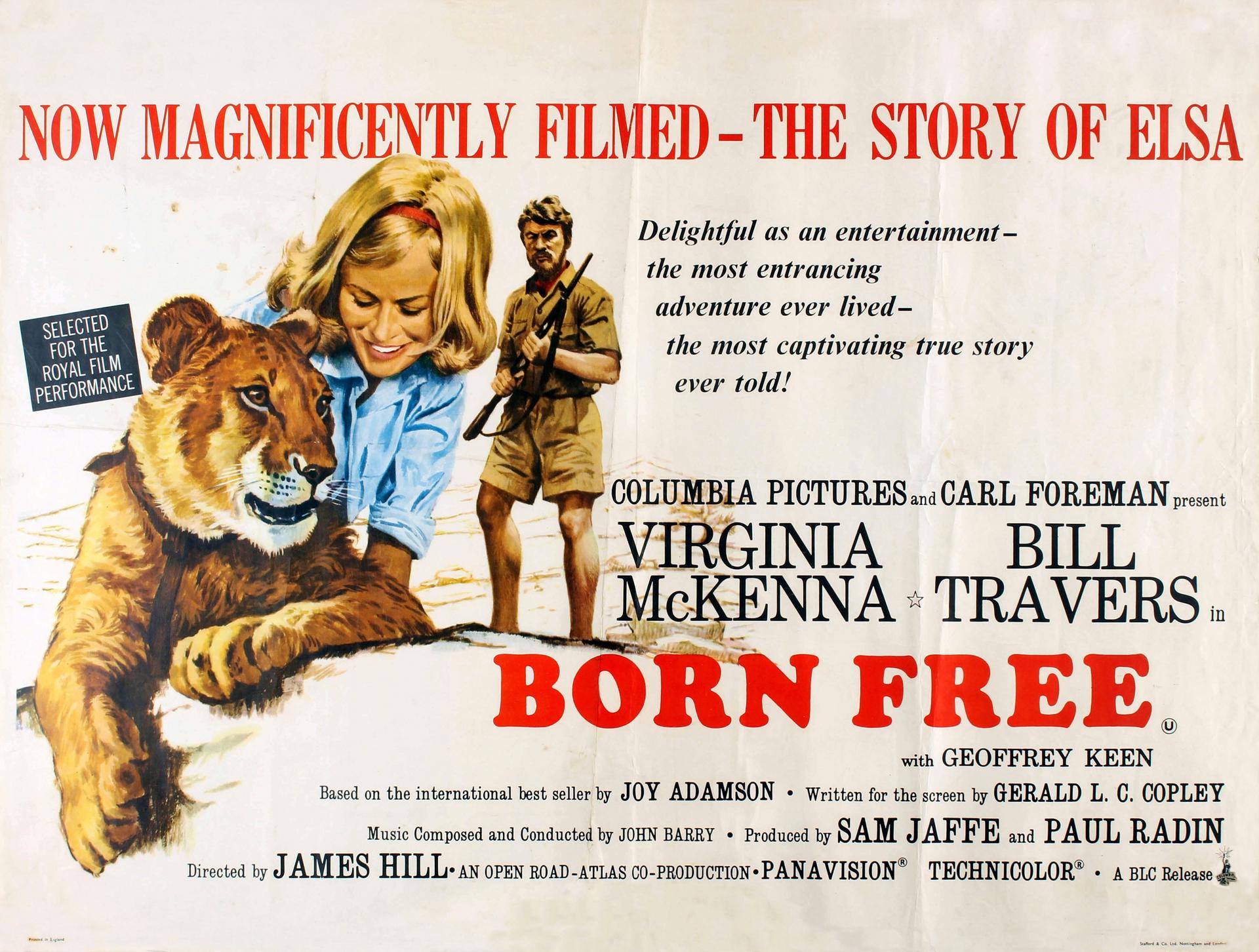 Фильм Рожденная свободной (Великобритания, США, 1966): трейлер, актеры ...